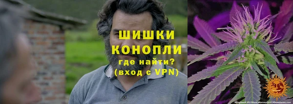 mdpv Богородск