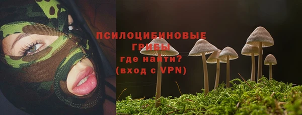 mdpv Богородск
